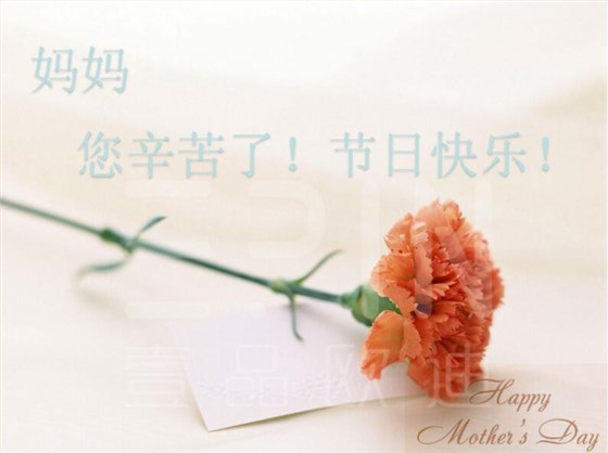壹品歐迪辦公家具祝天下母親節日快樂！