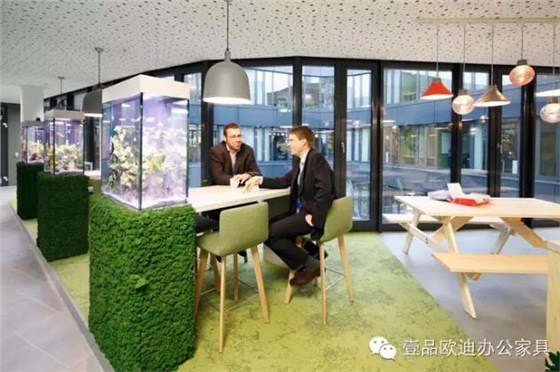 為什么辦公室里一定要養植物？-壹品歐迪辦公家具