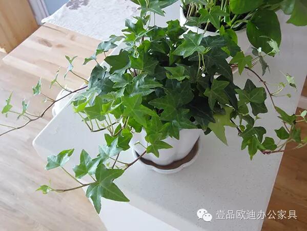 輕松解決辦公室內各種污染！