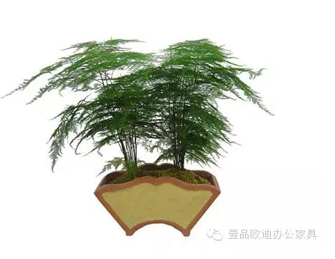 輕松解決辦公室內各種污染！