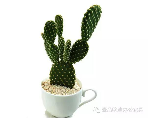 輕松解決辦公室內各種污染！