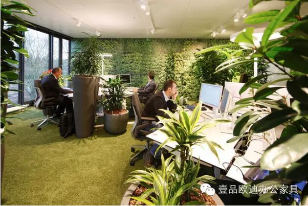 為什么辦公室里一定要養(yǎng)植物？-壹品歐迪辦公家具