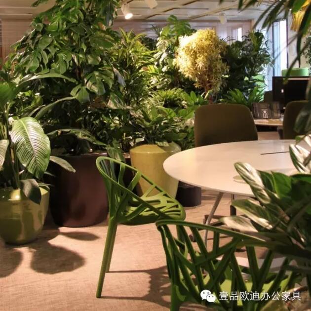 為什么辦公室里一定要養(yǎng)植物？-壹品歐迪辦公家具