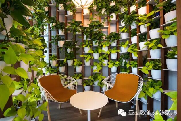 為什么辦公室里一定要養(yǎng)植物？-壹品歐迪辦公家具