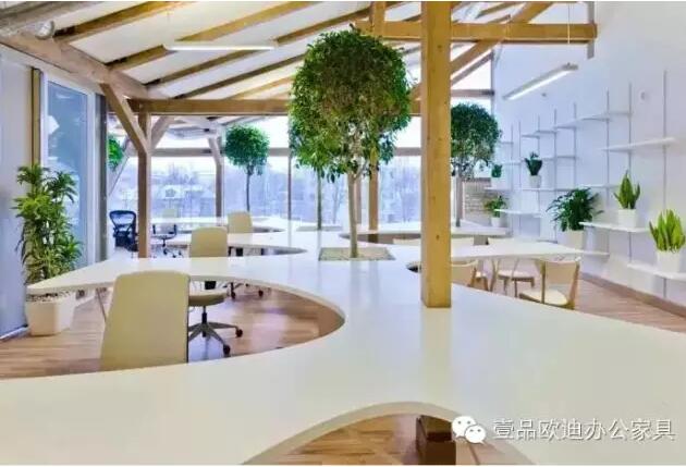 為什么辦公室里一定要養(yǎng)植物？-壹品歐迪辦公家具