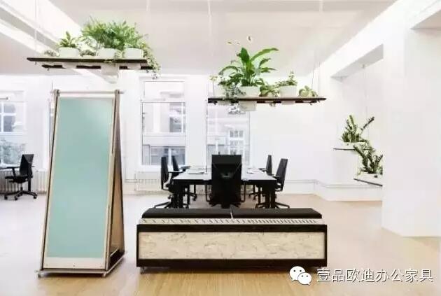 為什么辦公室里一定要養(yǎng)植物？-壹品歐迪辦公家具