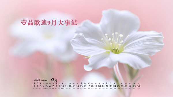 金秋九月，壹品歐迪又有新鮮事發生了
